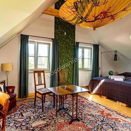 Apartmán Dzika Roza