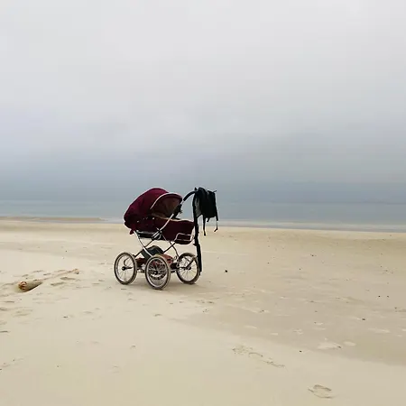 Dzika Roza Lubiatowo (Pomerania)