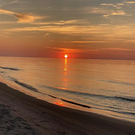 Daire Dzika Roza Lubiatowo (Pomerania)
