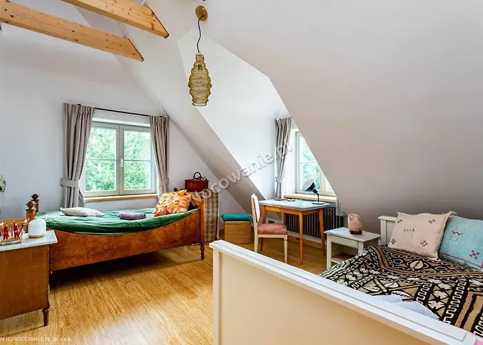 Daire Dzika Roza Lubiatowo (Pomerania)