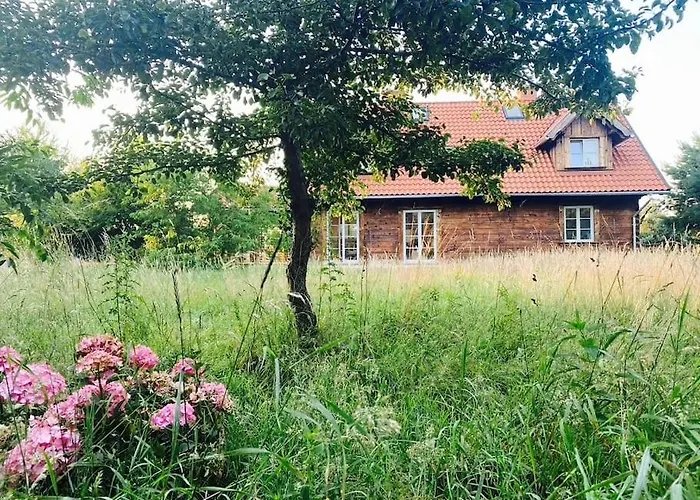 Dzika Roza Daire Lubiatowo (Pomerania)