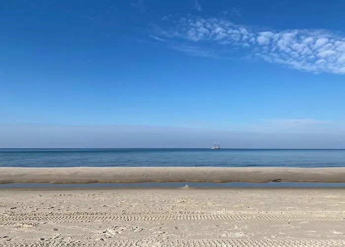 Dzika Roza Daire Lubiatowo (Pomerania)