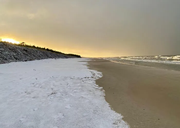 Daire Dzika Roza Lubiatowo (Pomerania)