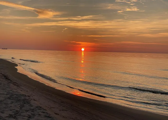 Daire Dzika Roza Lubiatowo (Pomerania)